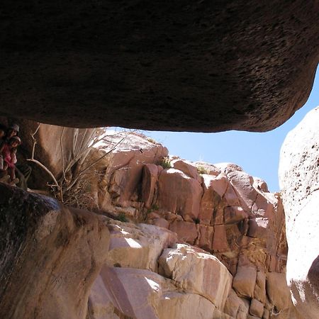 Fox Camp Saint Catherine Exterior foto