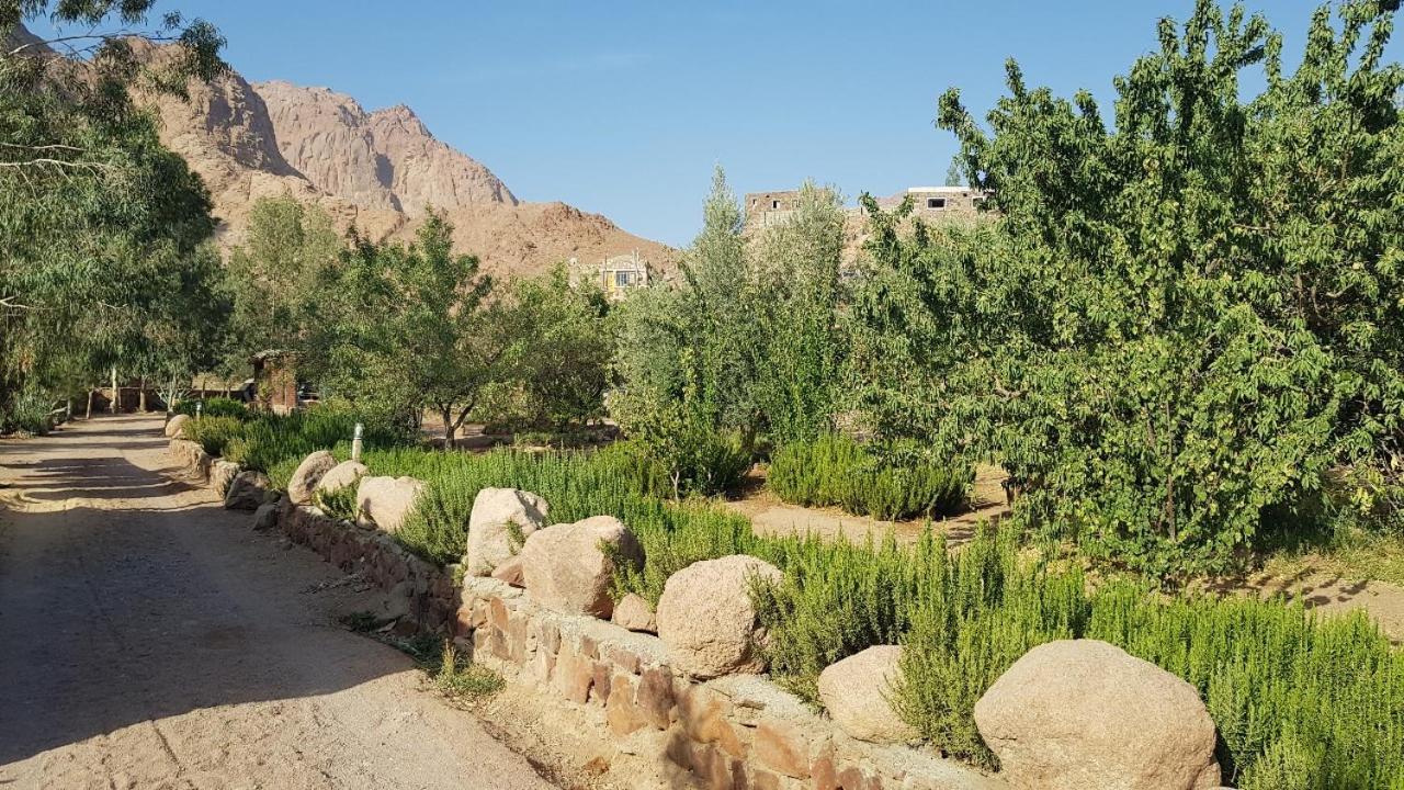 Fox Camp Saint Catherine Exterior foto