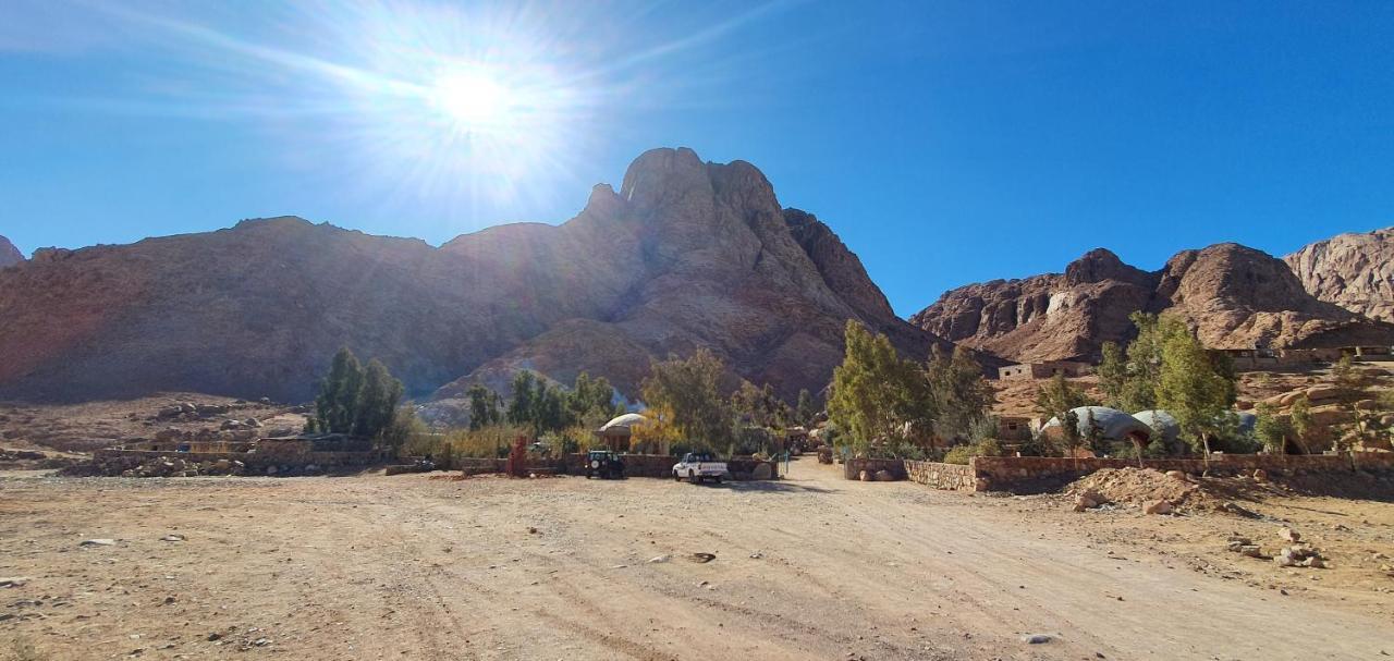 Fox Camp Saint Catherine Exterior foto