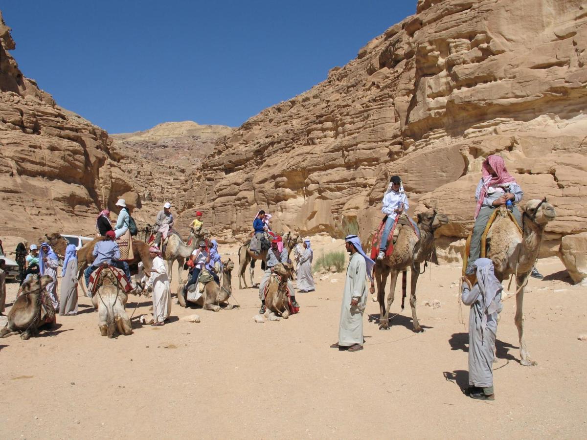 Fox Camp Saint Catherine Exterior foto