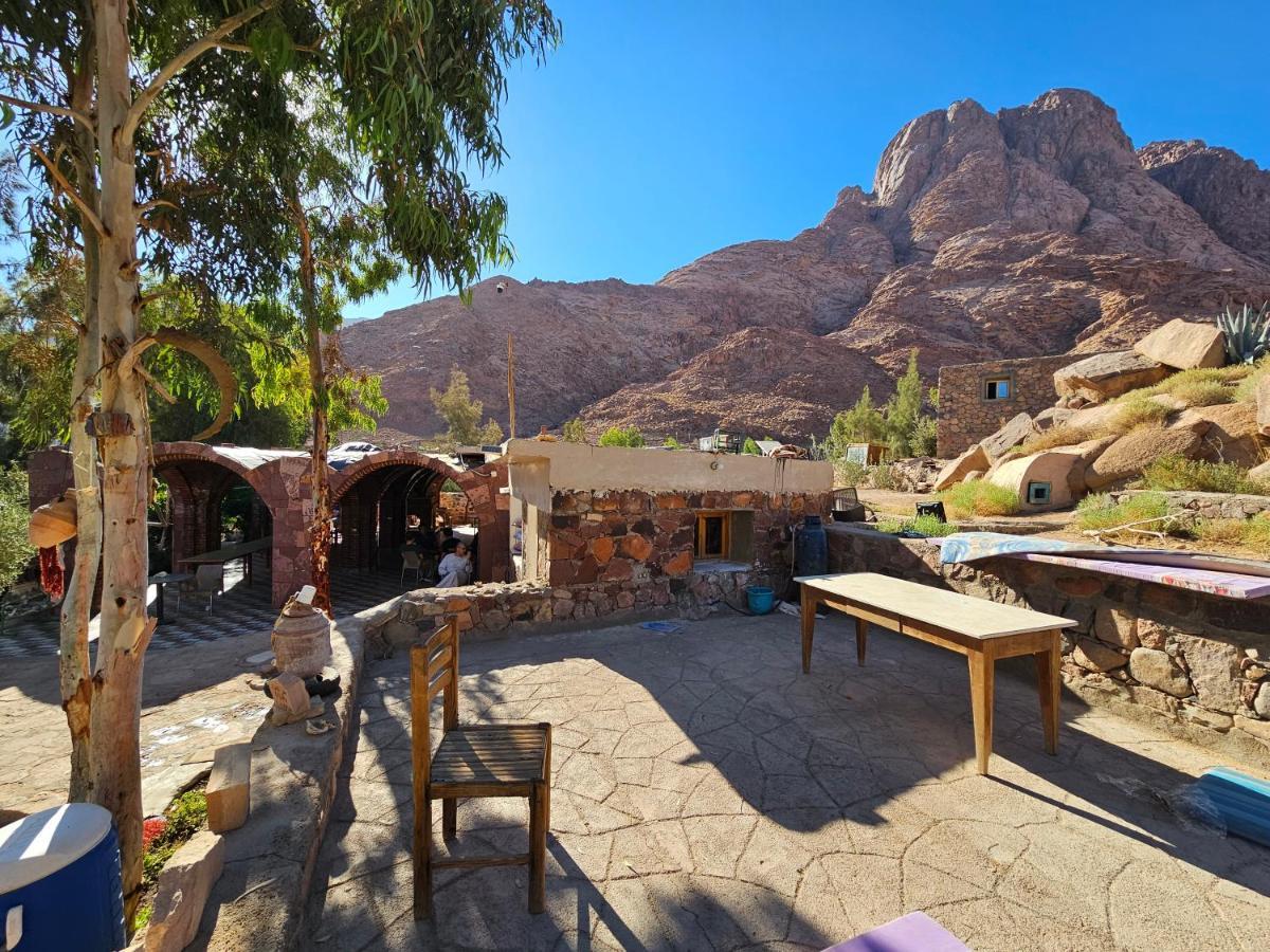 Fox Camp Saint Catherine Exterior foto