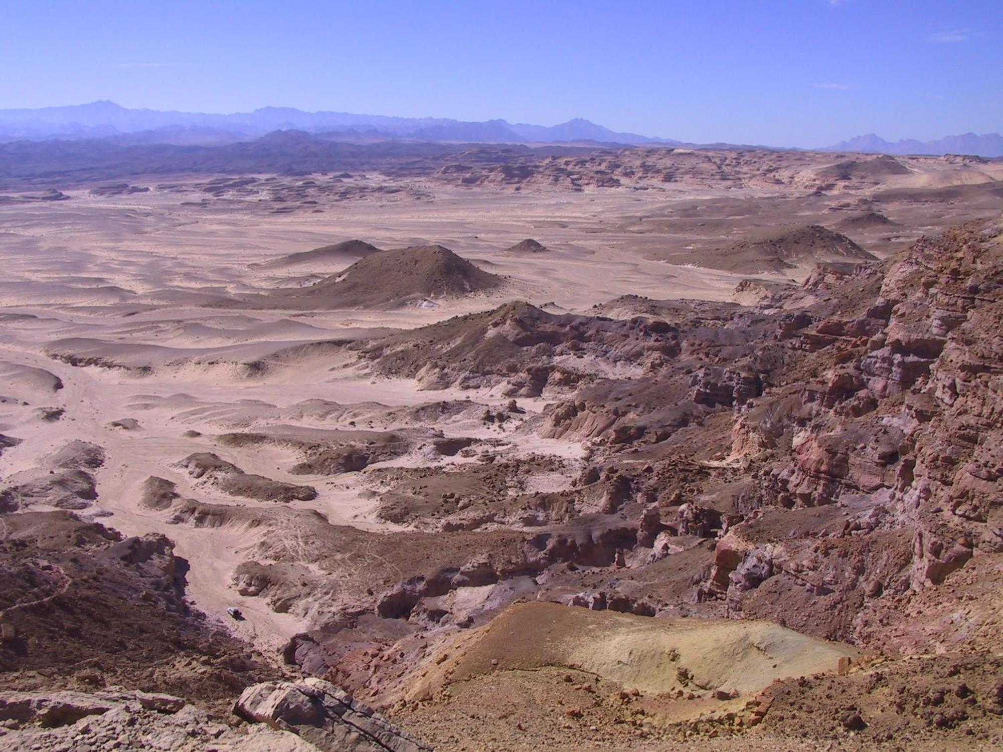 Fox Camp Saint Catherine Exterior foto
